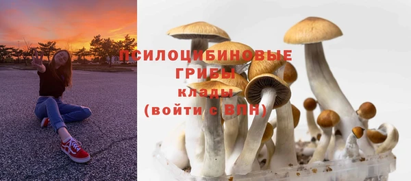 герыч Арсеньев