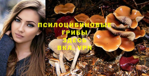 герыч Арсеньев